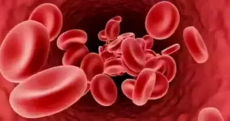 Apollo Cancer Foundation Marks Thalassemia Day with Survivor Celebrations