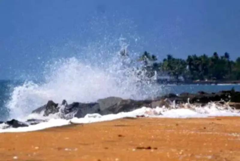 Arabian Sea Marine Heatwaves Intensify Due to Climate Change, INCOIS Data Shows