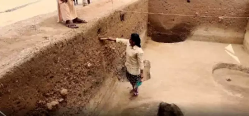 Archaeologist P J Cherian Urges Congress to Resume Pattanam Excavations