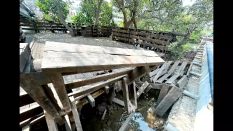 Architect Gerard da Cunha Plans to Restore Panaji Mangrove Boardwalk