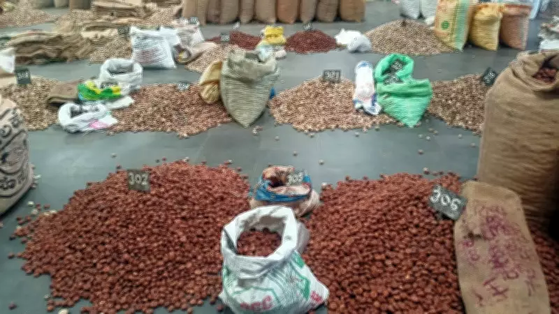 Arecanut Price Plunges in Karnataka's Sirsi Market, Farmers in Distress