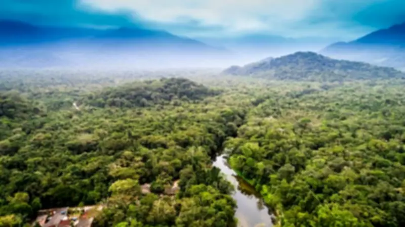 ASI to Study Ancient Inscriptions in Nallamala Forests