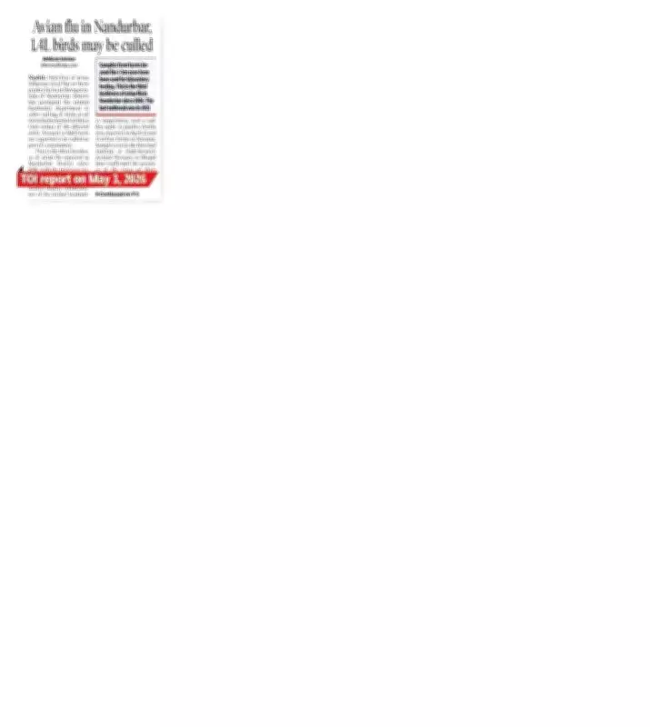 Avian Flu Spreads: Three More Poultry Farms in Nashik Test Positive