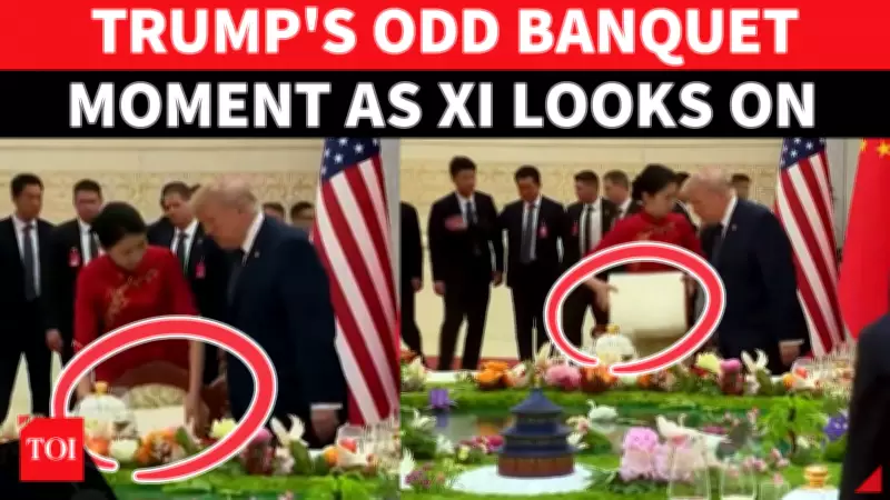 Awkward Banquet Moment: Trump Asks for Cushion Removal as Xi Watches Quietly
