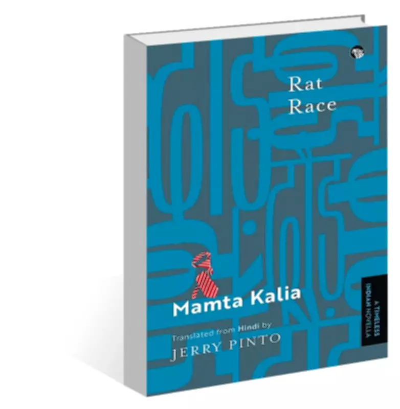 Backflap: A Compelling Review of a Captivating New Book
