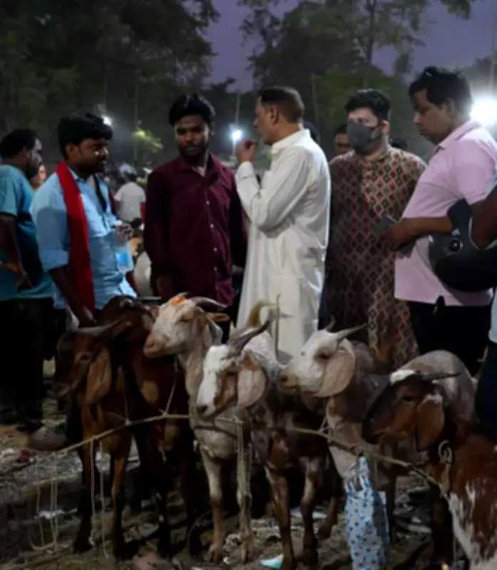 Bakra Mandi in Lucknow Sees High Demand for Premium Goats Ahead of Bakrid