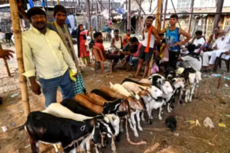 Bakrid Goat Market in Patna Sees 25% Price Hike as Festival Approaches