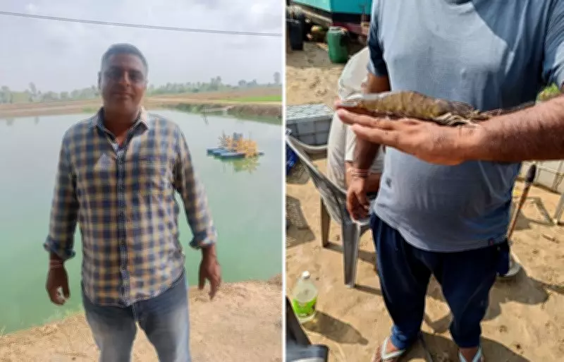 Banker Quits Gurugram Job, Earns Rs 1 Crore Annually from Shrimp Farming