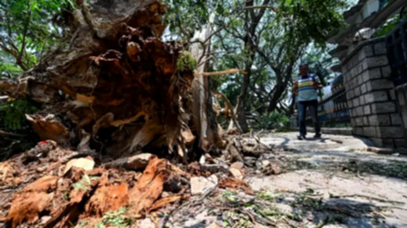 BBMP Chief Inspects Rain-Hit Areas Across Bengaluru