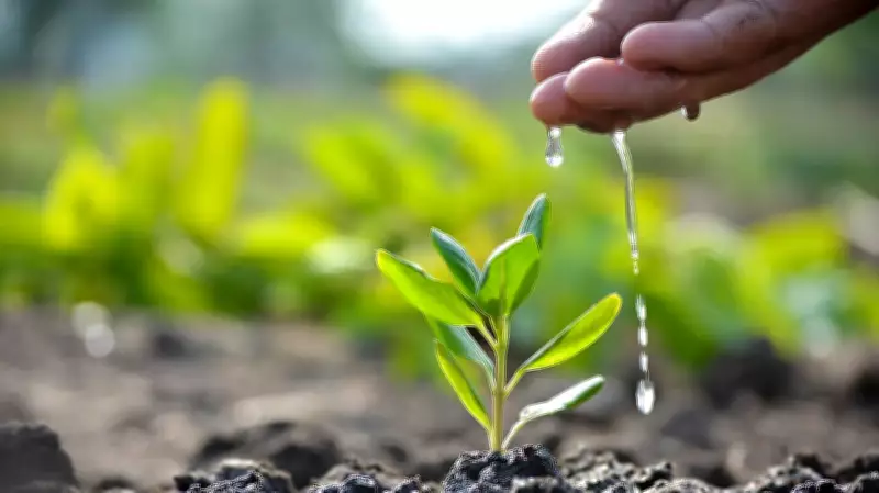 BDA Aims Guinness Record with 1.5 Million Saplings on June 5