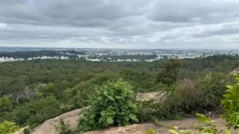 BDA Seeks Urgent Meeting with Forest Dept Over Turahalli Buffer Zone Dispute
