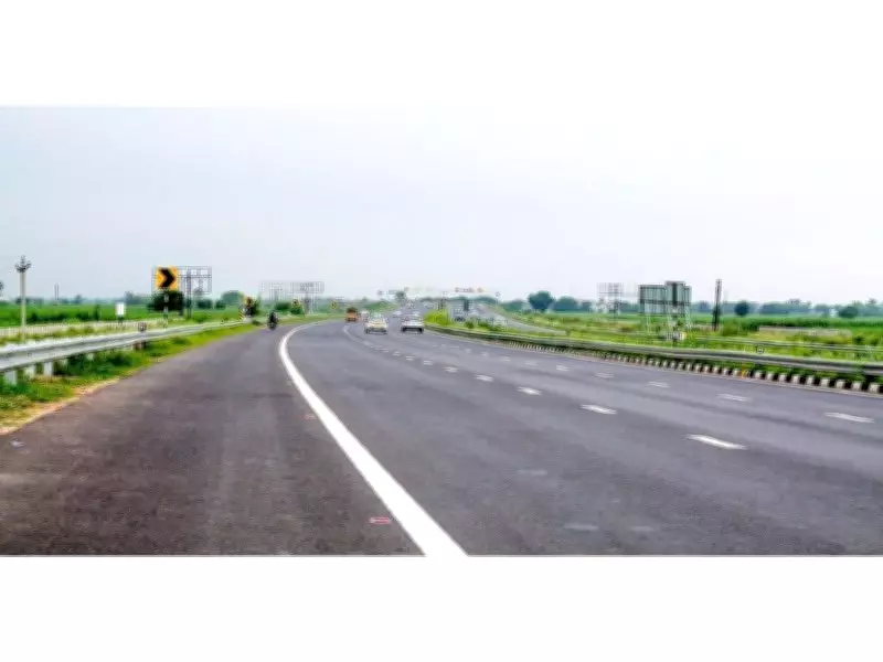 Bee Corridors Along Delhi-Amritsar-Katra Expressway to Be Developed This Monsoon