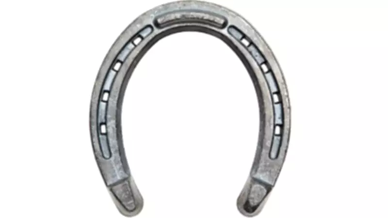 Benefits of Hanging a Horseshoe at Home Entrance: Good Luck Charm