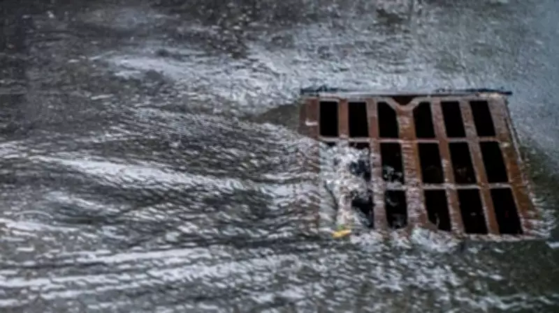 Bengaluru Civic Bodies Race to Clear Drains Before Monsoon