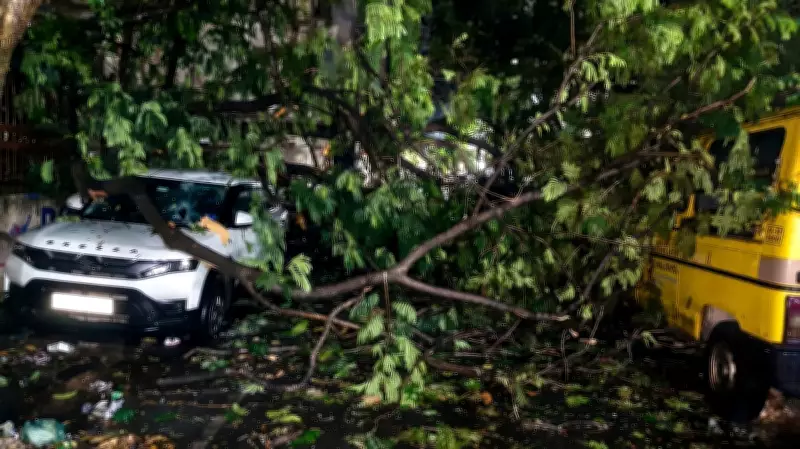 Bengaluru Evening Rain Causes Roadblocks and Tree Falls Across City