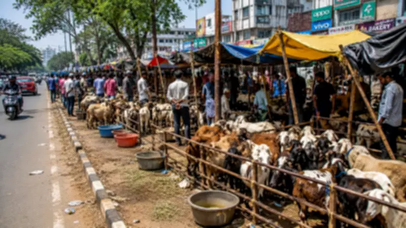 Bengaluru Launches Special Drive Against Unauthorised Sheep, Goat Markets