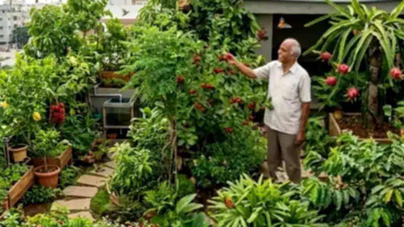 Bengaluru Man Transforms Terrace into Mini Rainforest, Cools Surroundings by 3-4°C