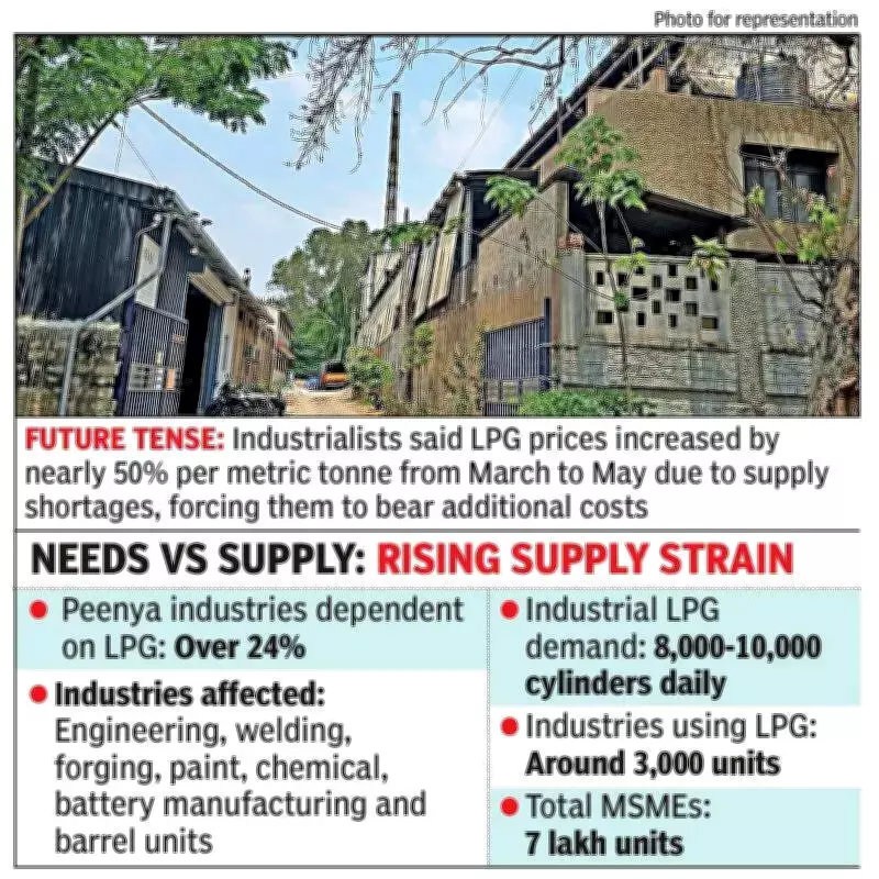 Bengaluru MSMEs Hit by 50% LPG Price Surge, Seek Relief