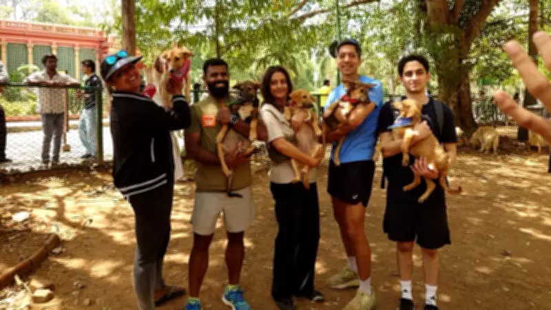 Bengaluru Pet Adoption Drive Promotes Indie Dogs Amid Stray Dog Anxiety