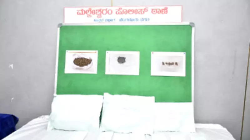 Bengaluru Police Seize Hydro Ganja Worth Rs 128 Crore, Five Held