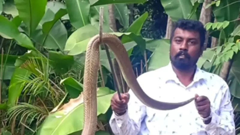 Bengaluru Rains Drive Snakes Out of Burrows, Rescuers on Alert