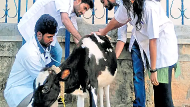 Bengaluru Vet College Teachers Oppose Stop of Non-Practising Aid