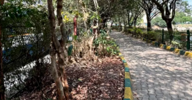 Bengaluru's Puttenahalli Lake: From Green Haven to Worry Spot