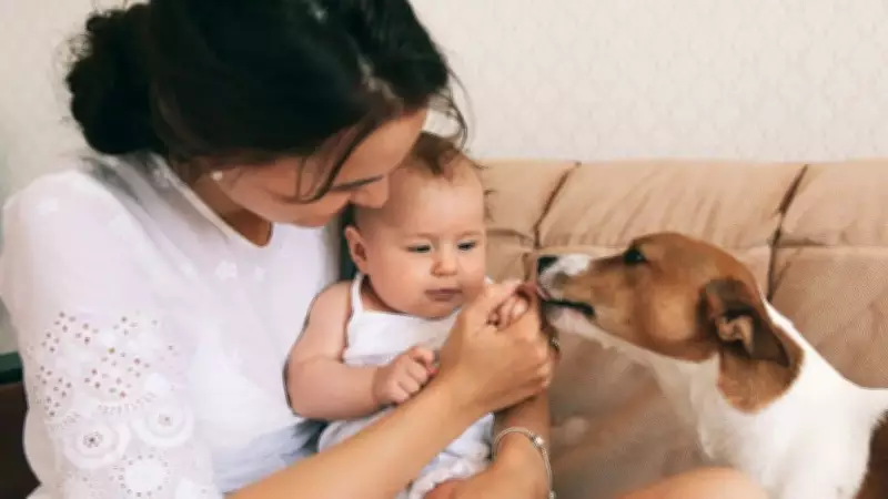 Best Pets for Apartment Living: Top 5 Quiet Companions