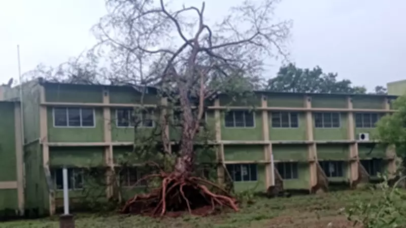 Bharathiar University Forms Building Committee After Rain Damage