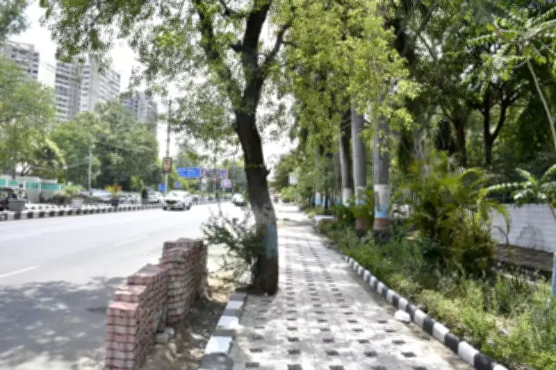 Bhopal Civic Body's Concrete Tree Encasement Sparks Environmental Outcry