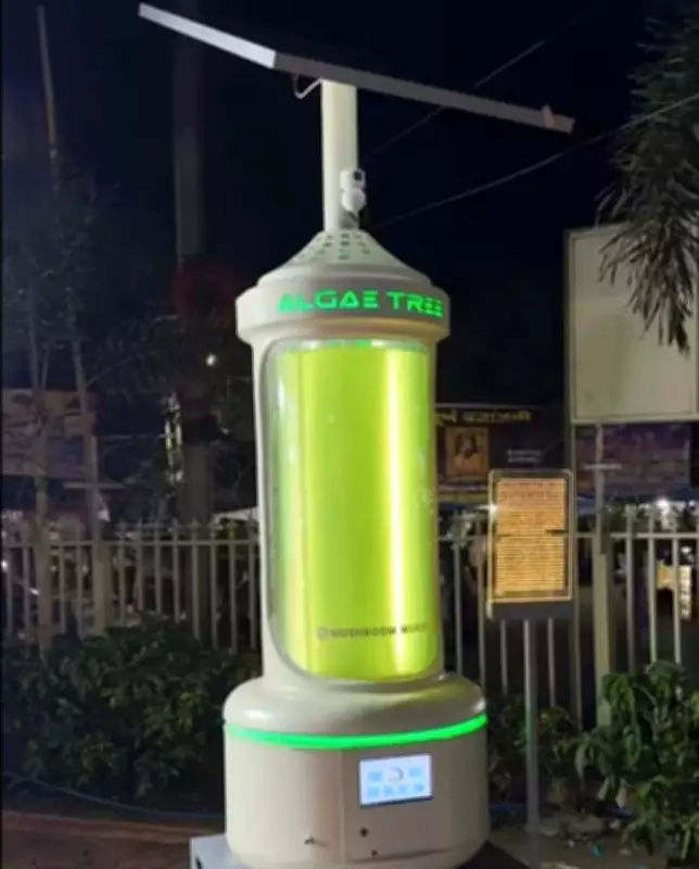 Bhopal Installs India's First Algae Tree to Combat Air Pollution