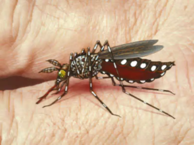 Bihar District to Observe Dengue Day on May 16 for Awareness