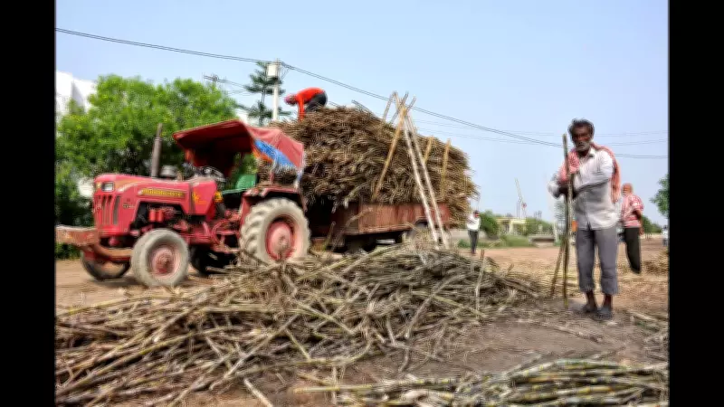 Bihar Farmers Face Triple Blow from Unseasonal Rains and Hailstorms