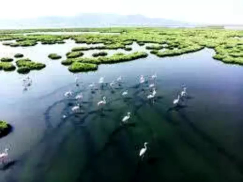 Bihar Identifies Over 3,900 Wetlands in Statewide Survey