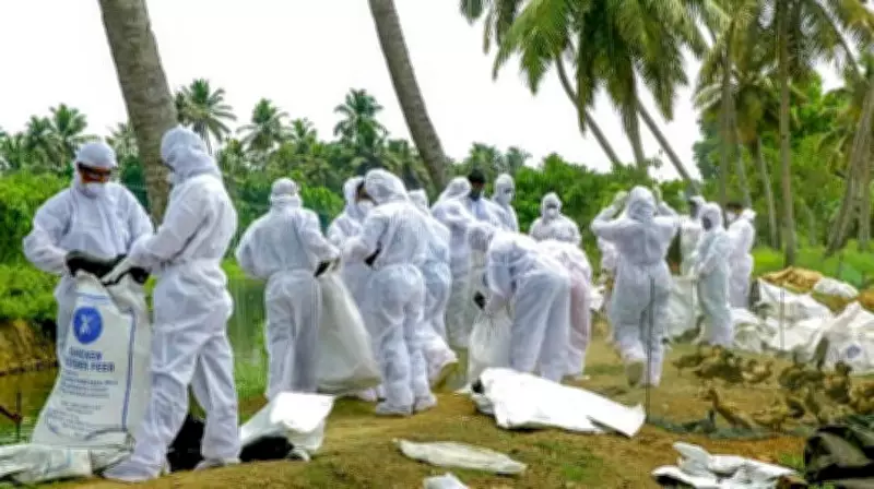 Bird Flu: No Panic, Evidence-Based Advisories Soon Says PHO Chief