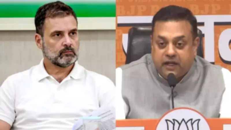 BJP Demands Rahul Gandhi's Foreign Trip Expense Breakdown