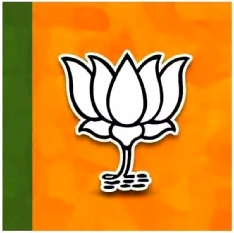 BJP Leader Cycles to Work Amid PM Modi's Austerity Call