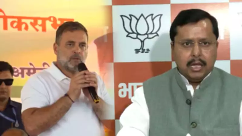 BJP Slams Rahul Gandhi's 'Traitors' Remark on Modi, Shah as 'Anarchic'