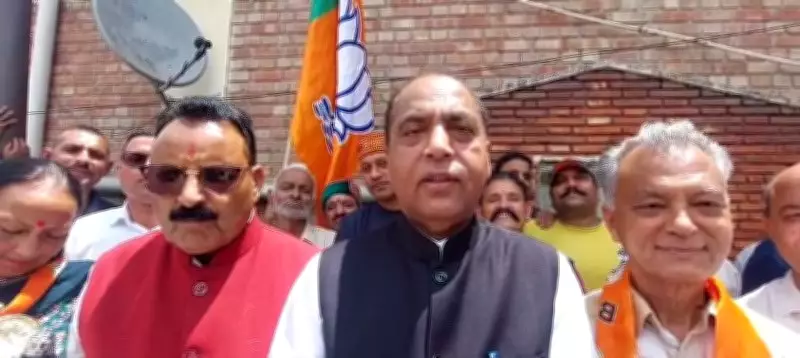 BJP Sweeps Mandi MC Elections, Wins 12 of 14 Contested Seats