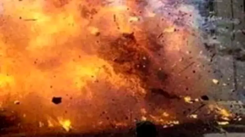 Blast in Malerkotla Injures Buffalo, Second Incident at Same Garbage Dump in Two Years