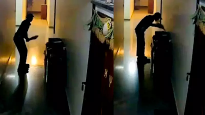 Blinkit Delivery Boy's Kiss on Cricket Bat Melts Hearts Online