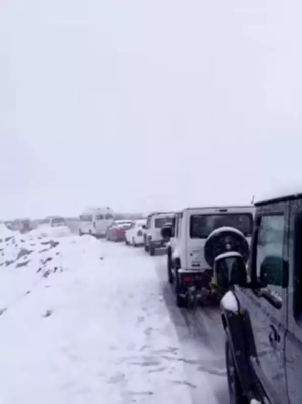Blizzard Causes Traffic Chaos, Tourists Stranded at Rohtang Pass