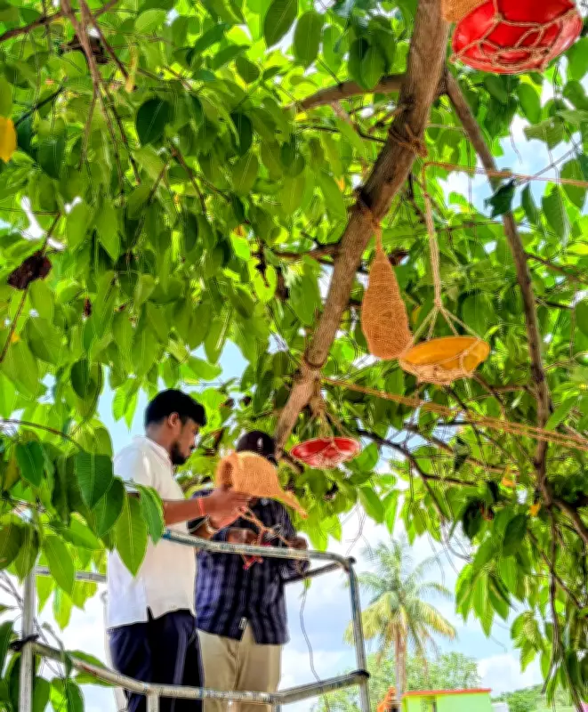 BMC Installs 150 Artificial Nests in Bhubaneswar to Protect Birds from Heat