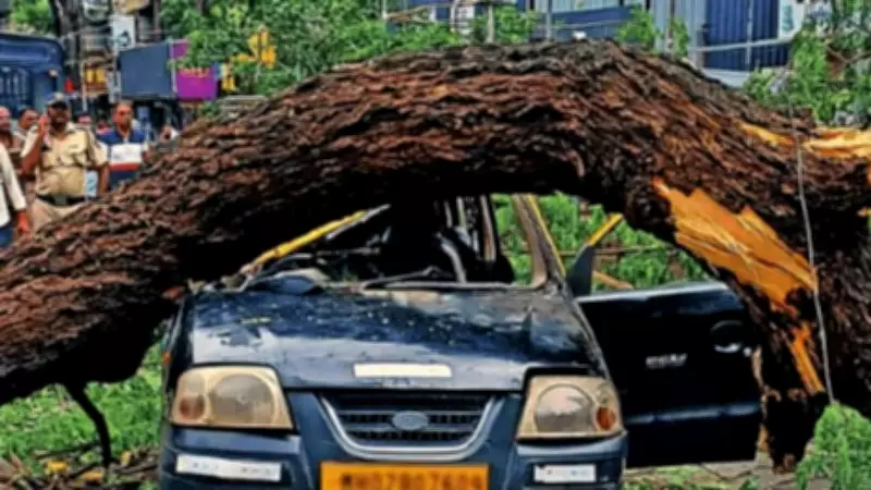 BMC Letter Raises Questions Over What Is Killing Mumbai's Trees