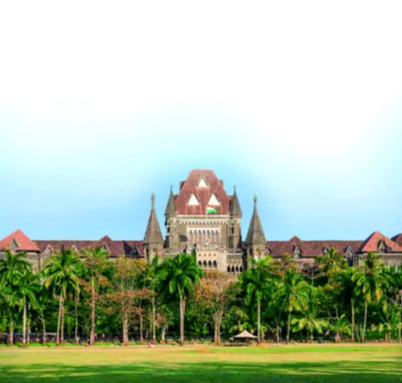 Bombay HC raps BMC for rapid demolition of Malad structure in 13 days