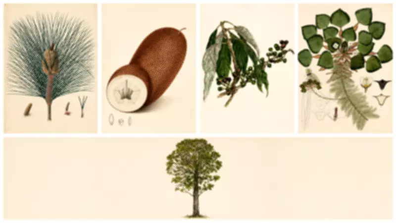 Botanical Art Revival: Why It's Blooming Again After a Century