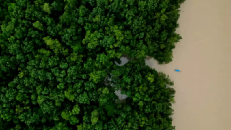 Brazil forest loss drops 20.6% in 2025, lowest since 2019: MapBiomas