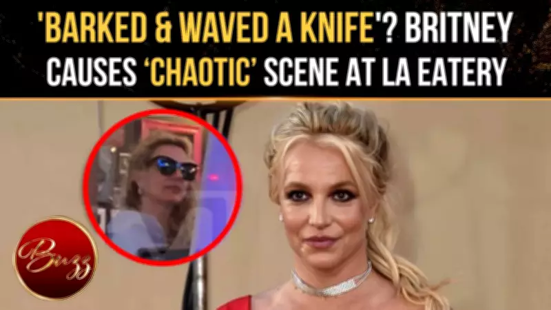 Britney Spears Accused of Barking, Waving Knife at LA Restaurant