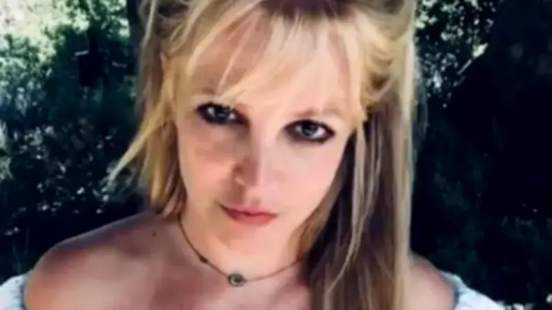 Britney Spears Leaves Rehab, Faces DUI Charges in California