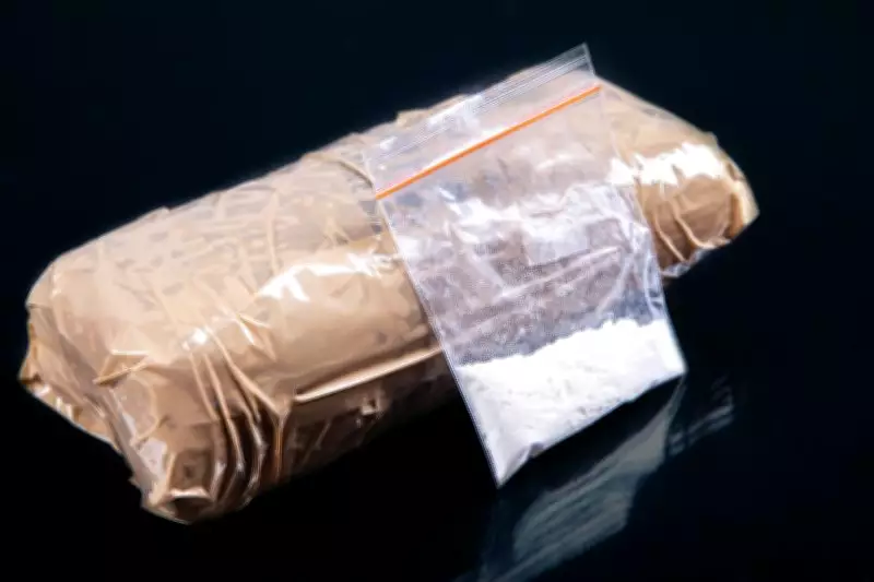 BSF and Punjab Police Seize Over 2 kg Heroin Near Indo-Pak Border, Arrest One